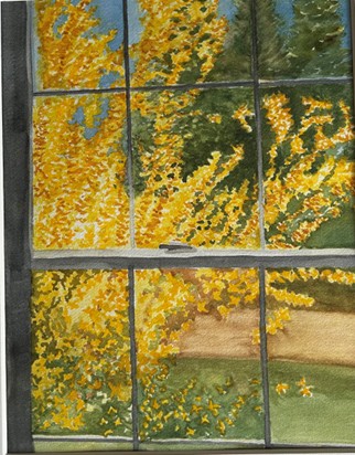 Sue Hitchcox